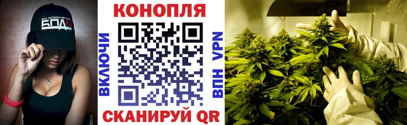 МАРИХУАНА SATIVA & INDICA  Южа 